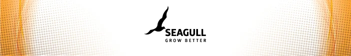 Seagull