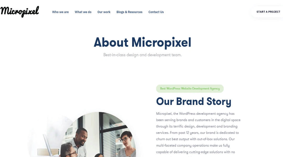 best WordPress development company in India 