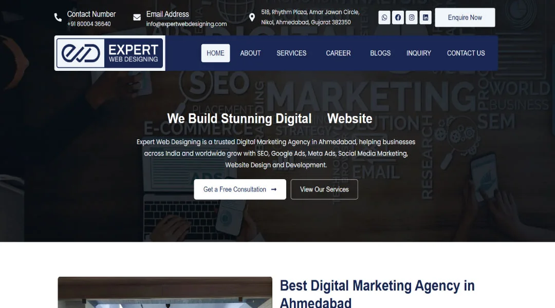 Expert Web Designing